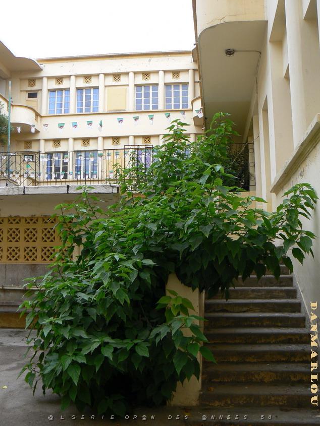 ecole Jules Renard 12 .jpg